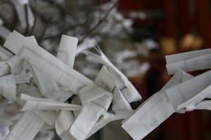 Prayers Tokyo Temple Prayers tied to trees, Tokyo
