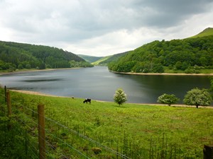 Ladybower Reservoir Photo in England's Peak District National Park