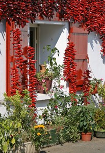 Peppers Drying in Espelette
