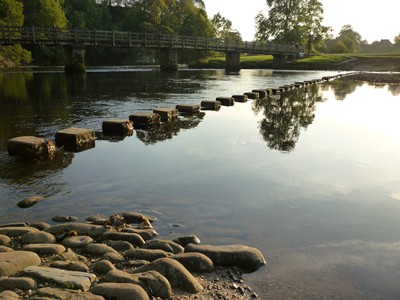 stepping stones