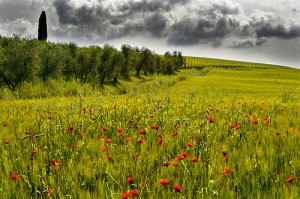 Tuscany