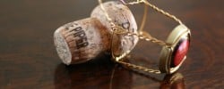 Secret to success champagne cork go for your dreams