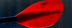kayaking in alaska - scarlet kayak paddle in southeast alaska innersea discovery cruises