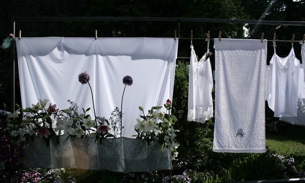 Flower Festival Girona (12) Flower washing line