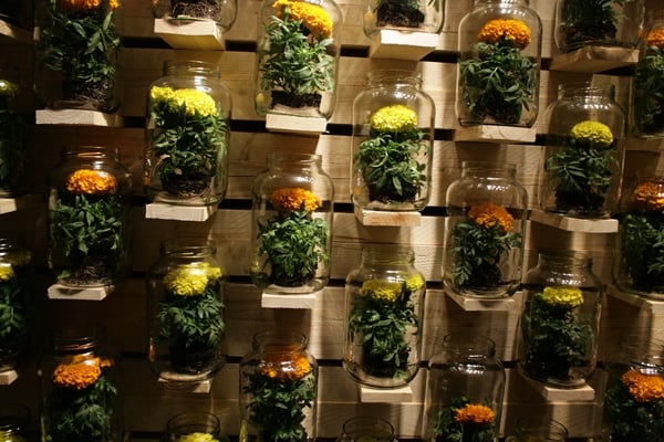 Flower Festival Girona (45) Flowers in jars
