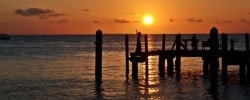 Gratitude at sunset
