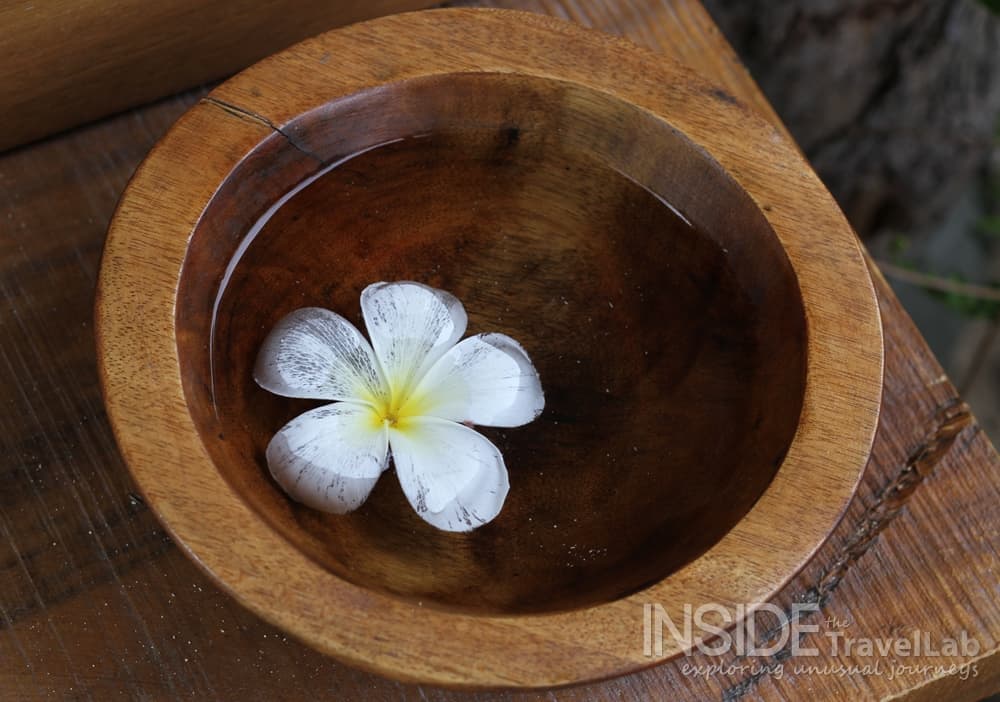 Desroches Island Flower