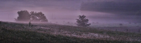 Hot Air Balloon mist