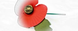 About poppy day
