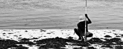 Private island profiling