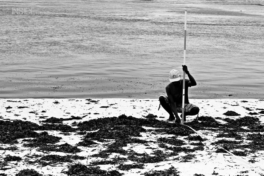 Private island profiling Private island profiling