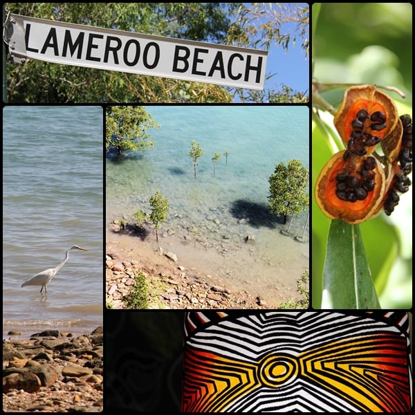 Lameroo Beach Darwin photo montage