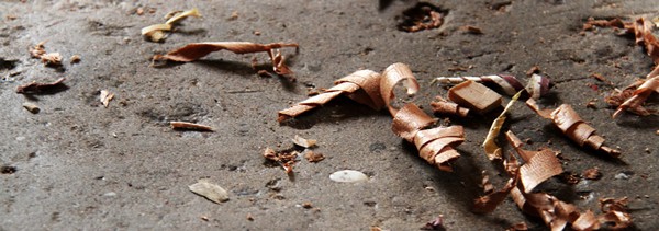 ode to the sea - wood shavings