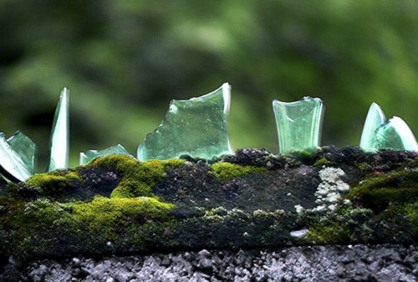 Green glass
