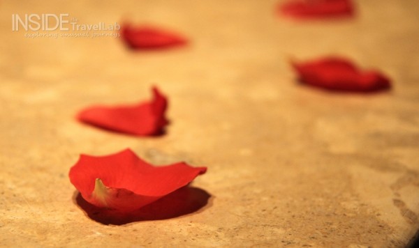 Atlas mountains Rose Petals Atlas mountains Rose Petals