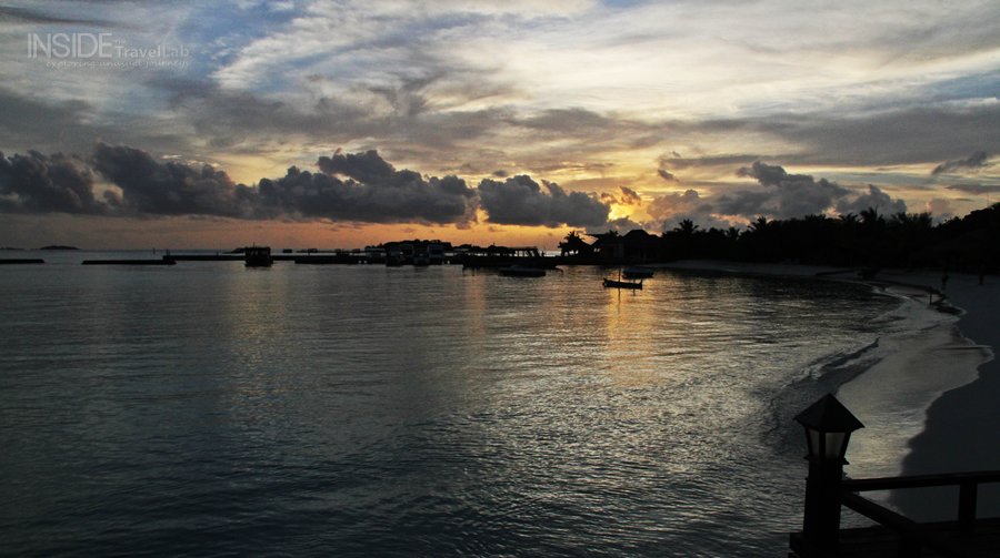 Maldives wildlife011