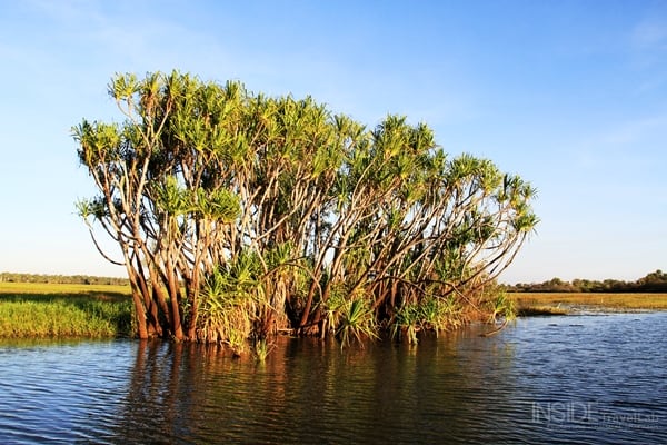 Kakadu Park Waterway