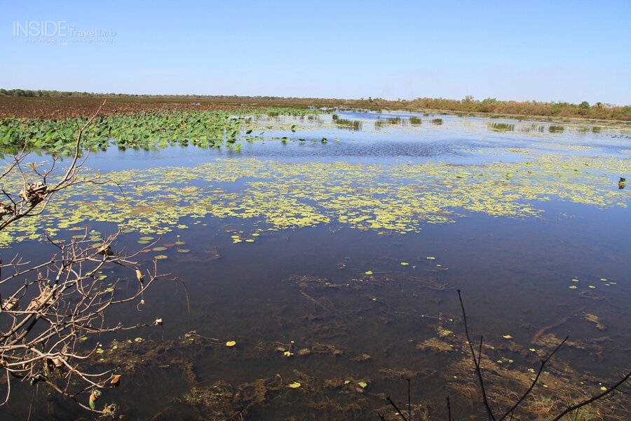 Landscape Litchfield National Park