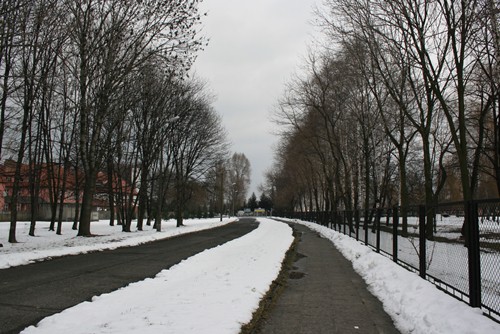 The road to Auschwitz