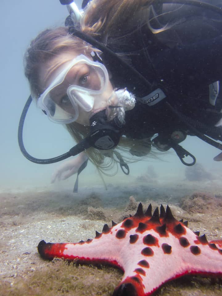 An underwater photographer looks at a giant starfish