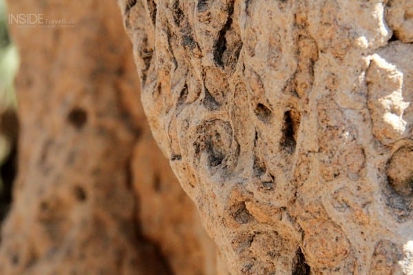 Termite mound close-up