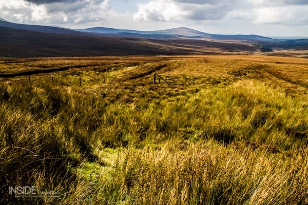 Golden fields in Wicklow, England -road trip essentials