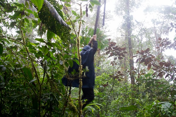 Swinging through the jungle in Ecuador on a vine