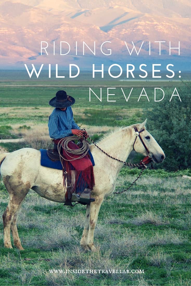 Unusual things to do in Nevada > Head to the Wild West and ride with the wild horses - via @insidetravellab