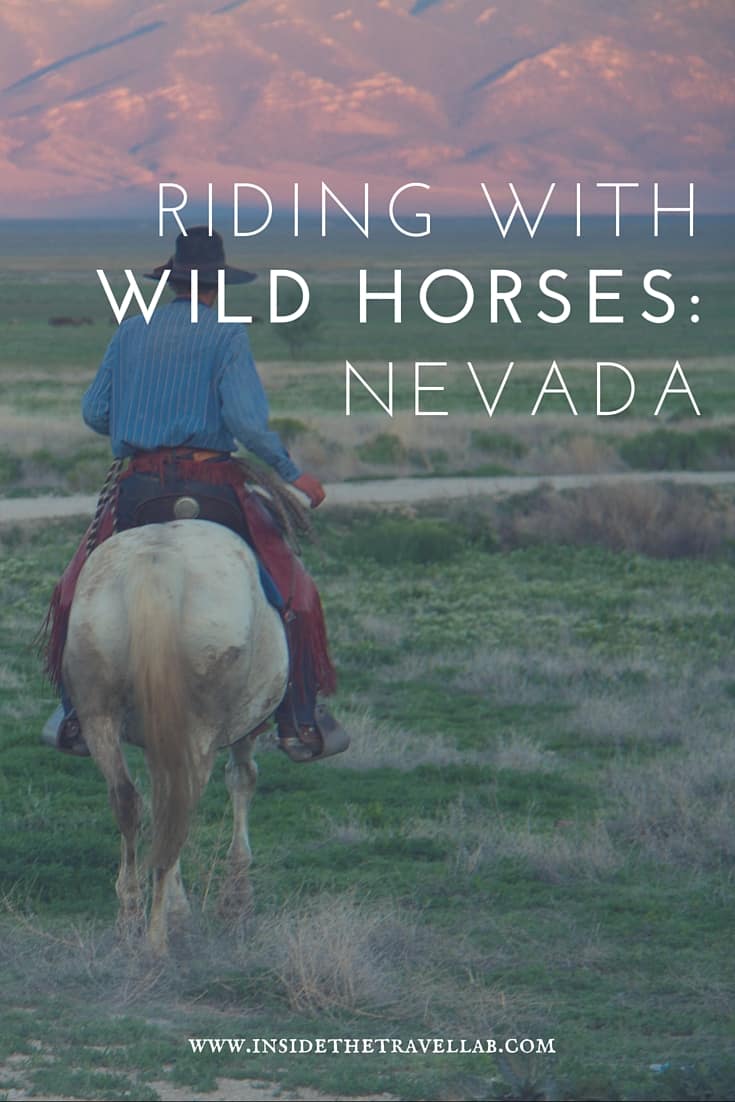 Unusual things to do in Nevada > Head to the Wild West and ride with the wild horses - via @insidetravellab