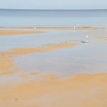 Latvia - Jurmala Sandy Beach - What is Latvia famous for