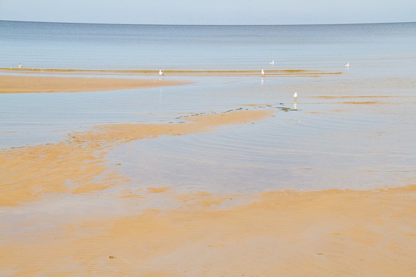 Latvia - Jurmala Sandy Beach - What is Latvia famous for
