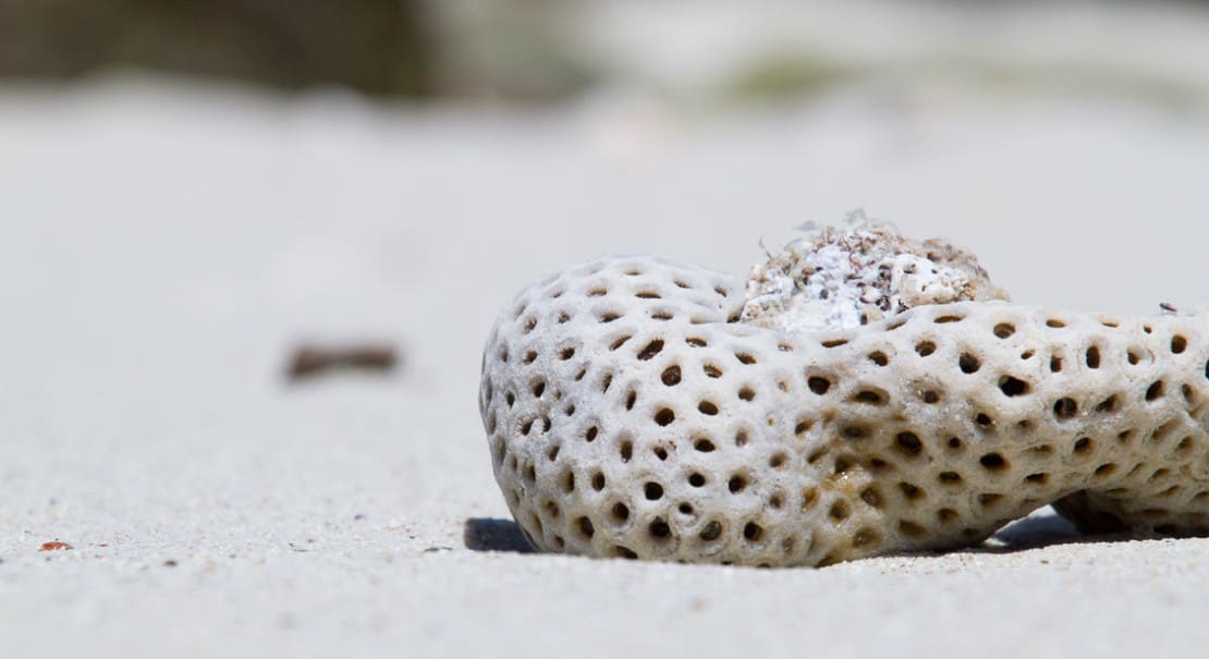 Madagascar Beach-up close with the sand