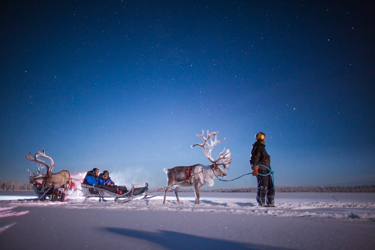 Reindeer drawn sleigh in Lapland
