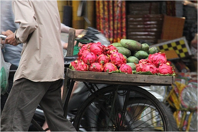 Vietnam - Hanoi - Vegetables on back of bicycle