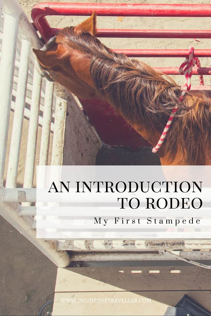 Unusual things to do in Canada > Rodeos are strictly timed, strictly regulated procedures, consisting of a fixed pattern of events that must be completed within a regulated timeframe. - via @insidetravellab