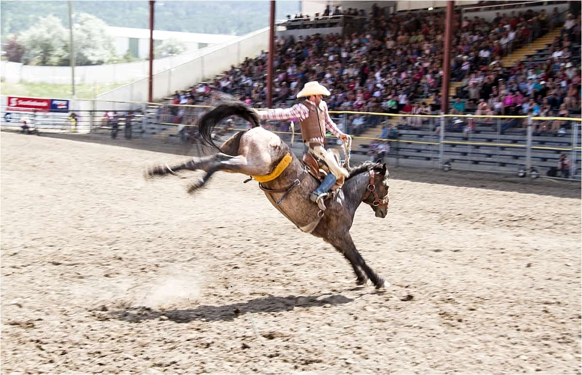 Bronc riding at the rodeo