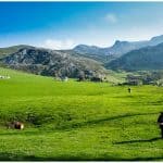 Spain - Asturias Highlights - Picos Europa Park