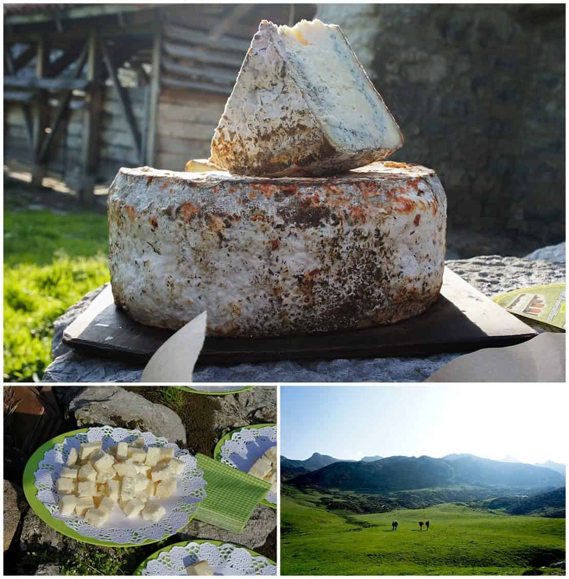 Picos Europa Authentic Farmed Cheese