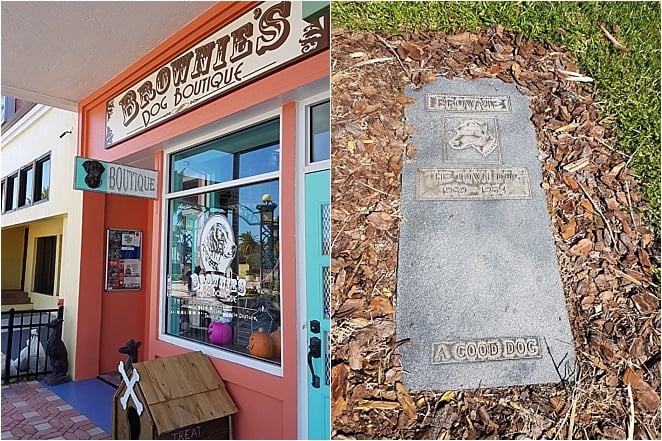 UNUSUAL things to do in Daytona Beach - visit Brownie's Dog Boutique