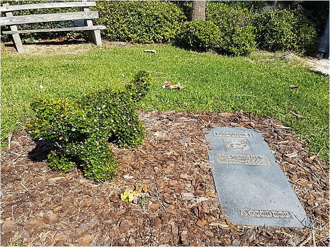 Unusual things to do in Daytona Brownie Grave