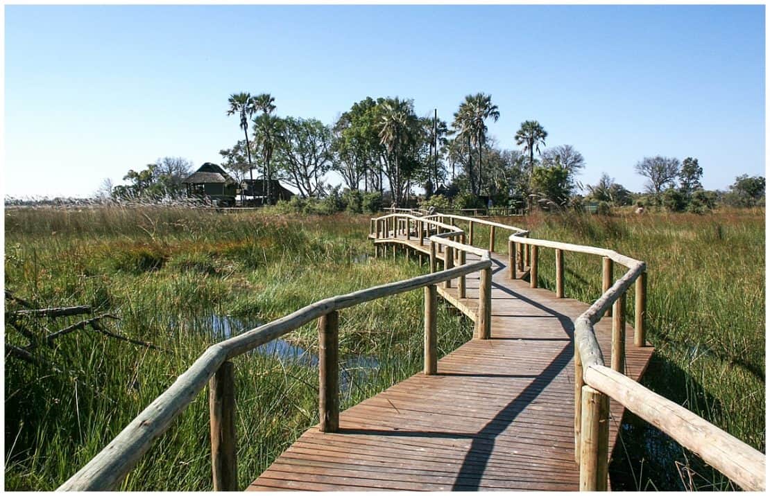 Gunns camp for an Okavango Delta Safari in Botswana