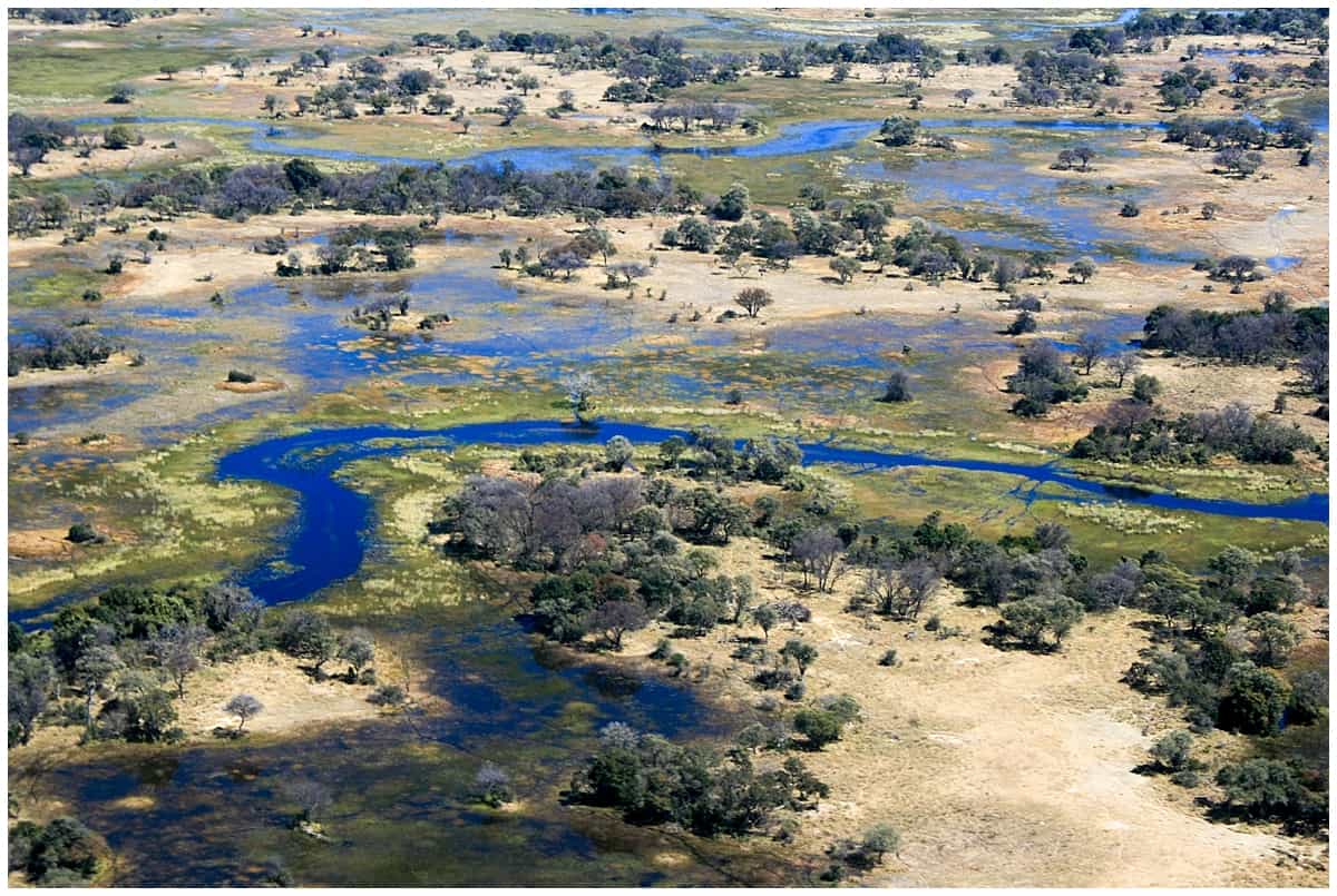 Incredible Okavango Delta in the sky