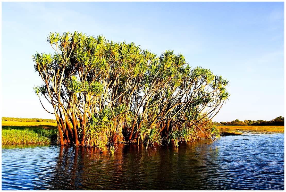 Waterways of Kakadu Park in the Australian Outback - visa to visit Australia