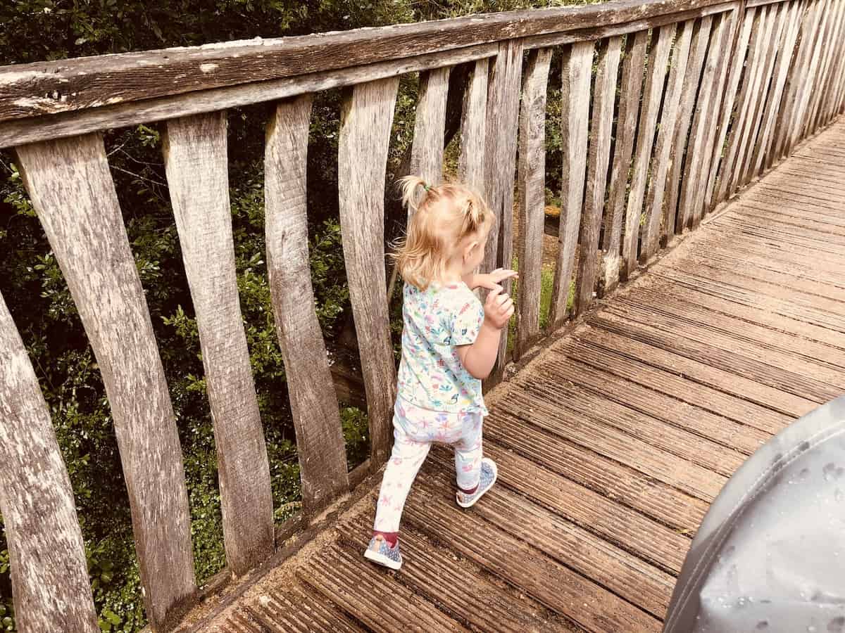 Travel with toddler - STRIDING ALONG