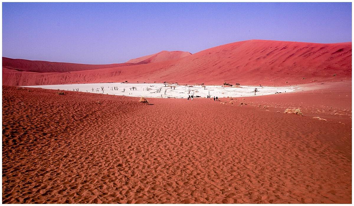 Namib Desert Oldest in the world in Namibia near Dune 45 