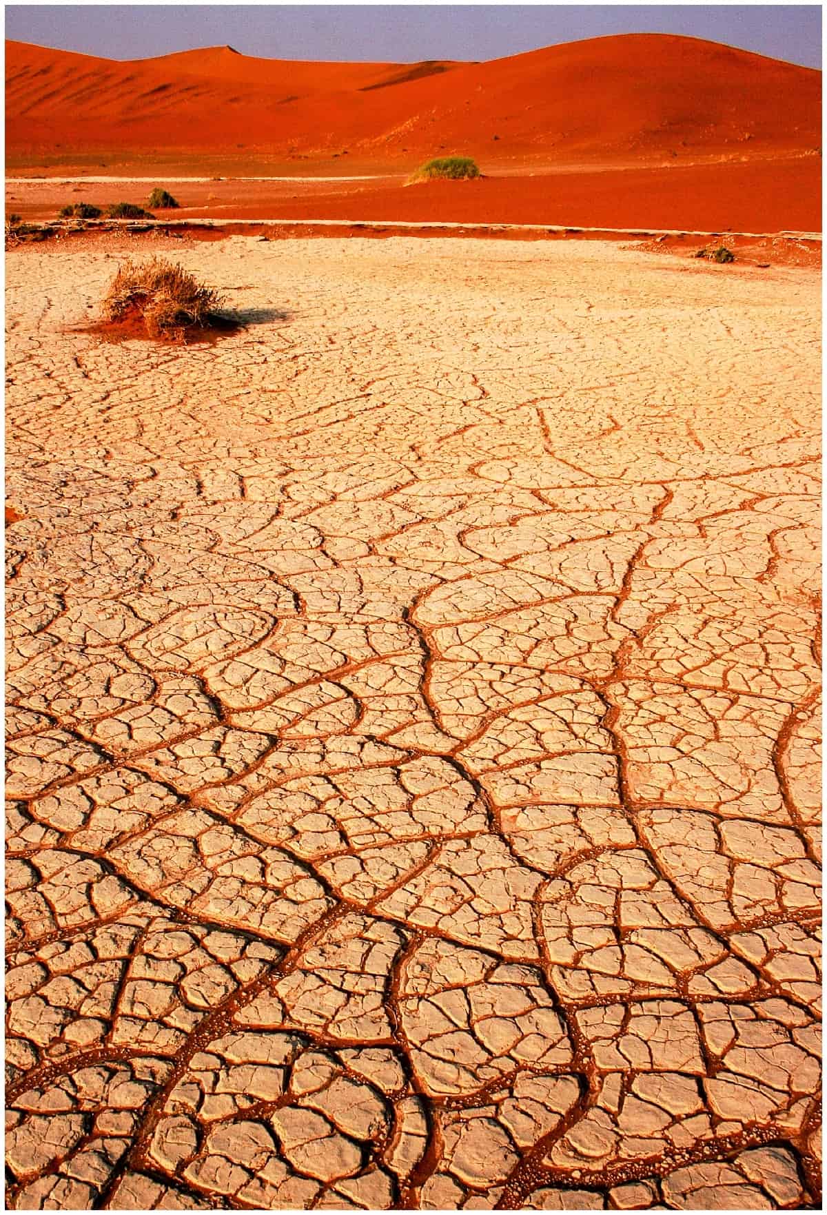 Cracked sand in the Namin desert at Sossusvlei