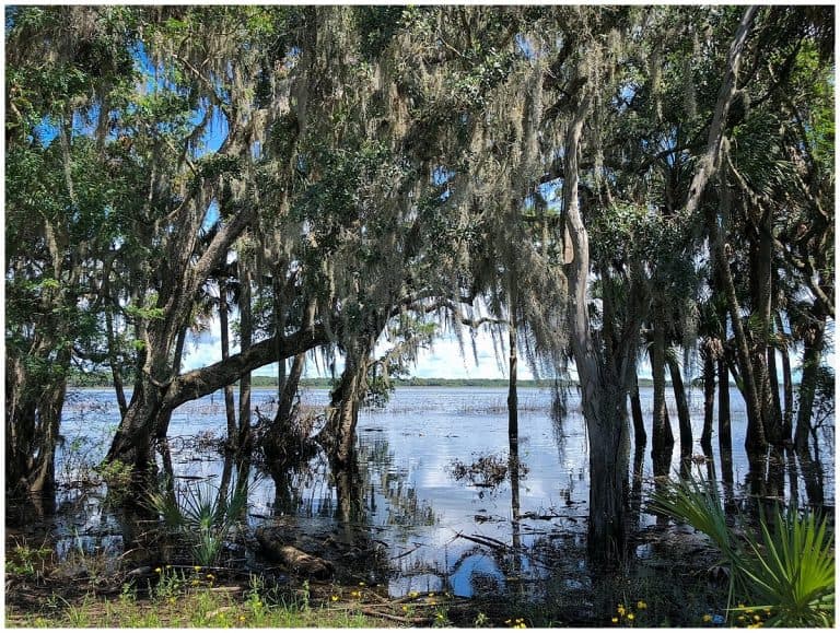 Is Sarasota worth visiting? Your guide to one of Florida's best cities