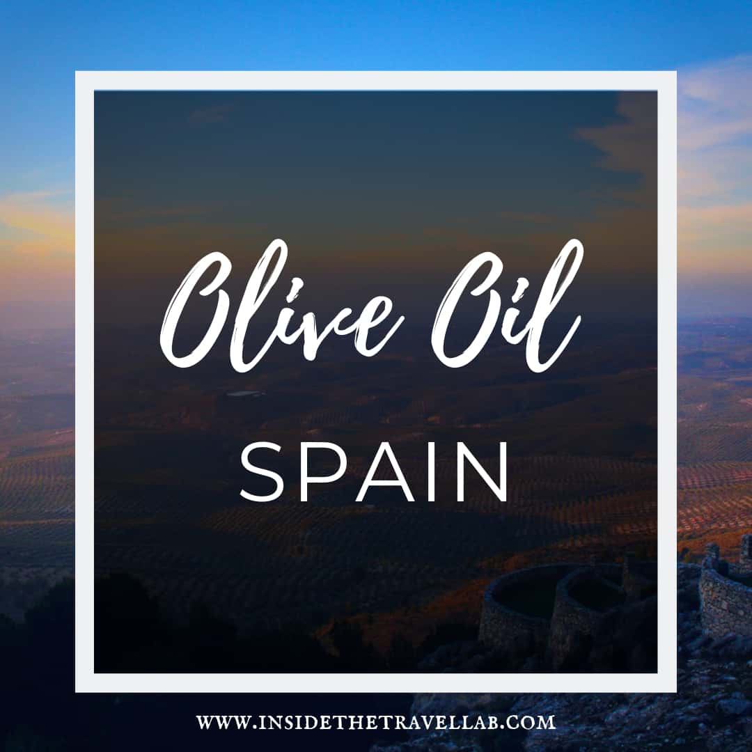 Olive Oil Harvest Spain