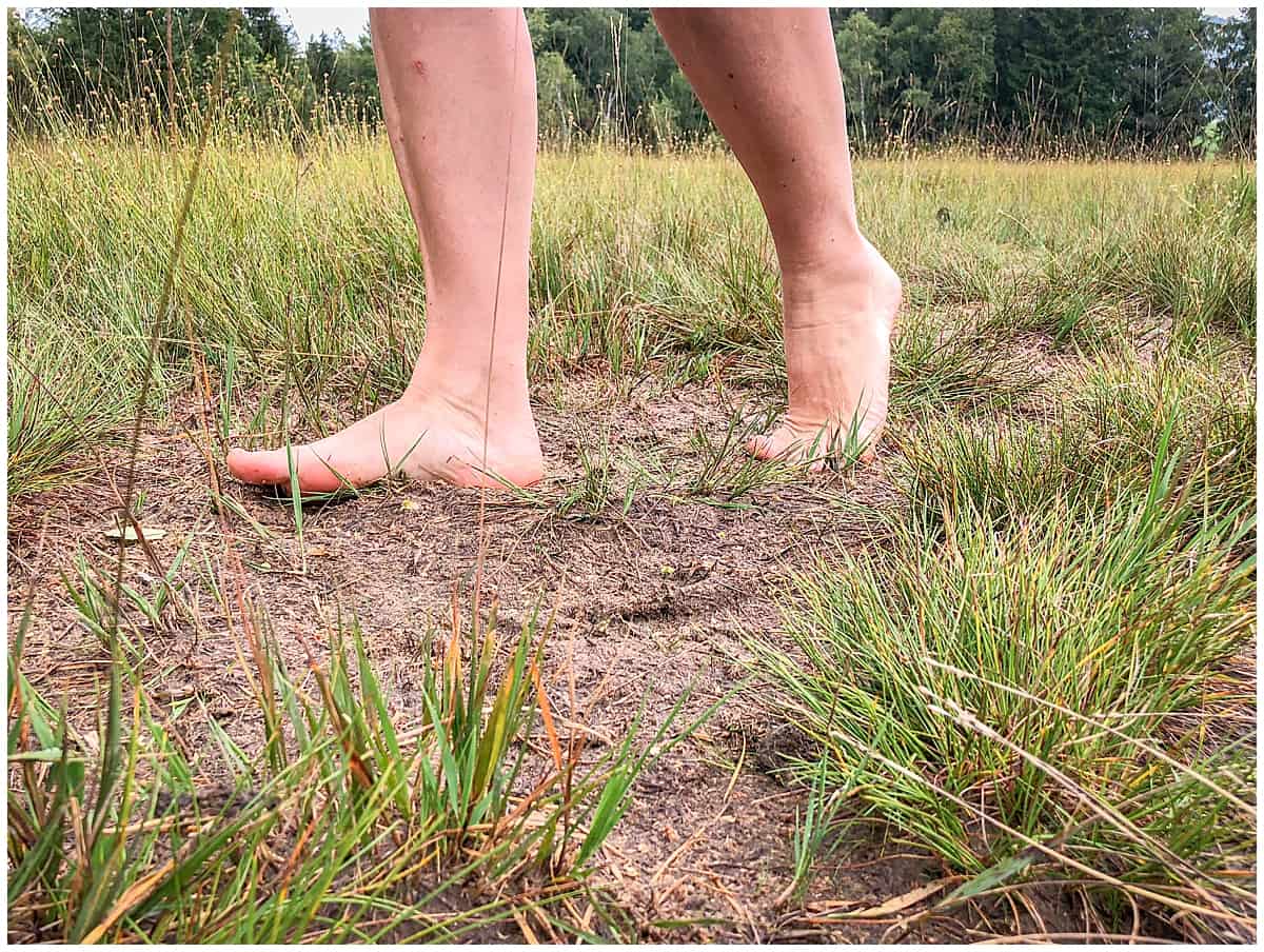 A woman walks barefoot across Krumbach Moor in Austria
