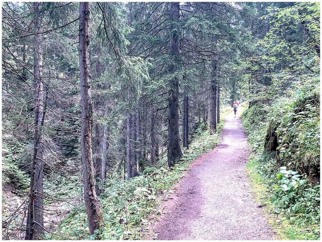 Lech in Summer:  the Green Ring of Austria